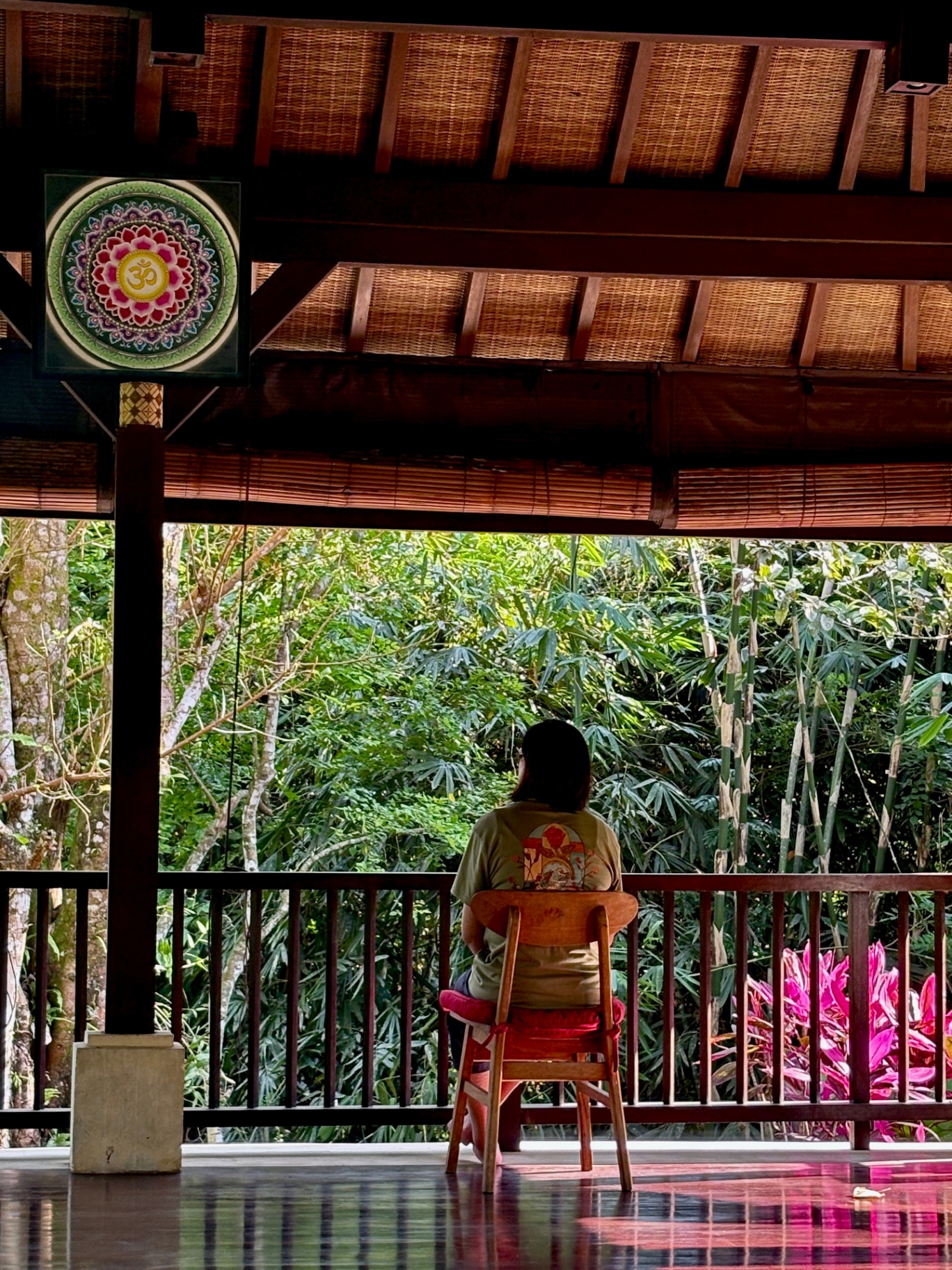 Quiet reflection overlooking the jungle