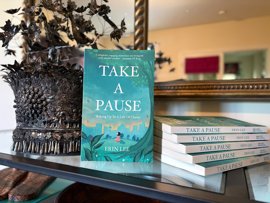 Take A Pause, book by Erin Lee