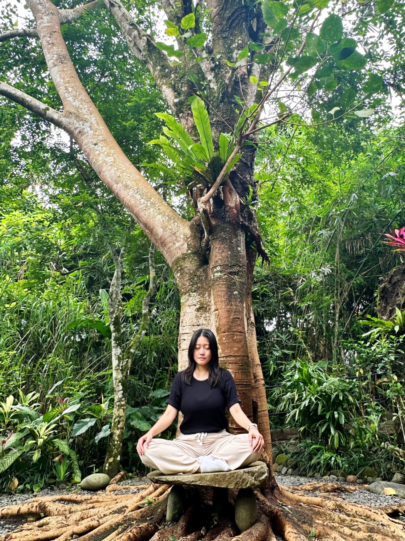 Erin meditating beneath a large tree in Bali