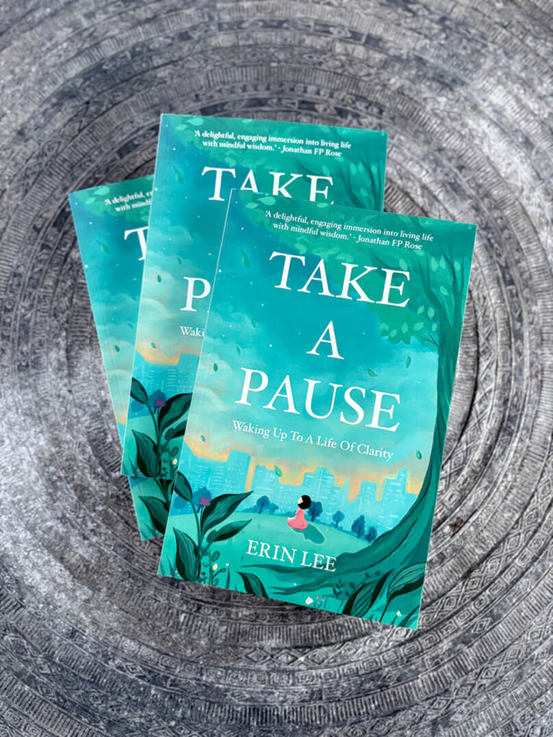 Take A Pause — book by Erin Lee